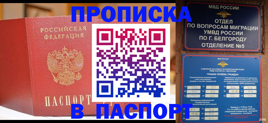 временная регистрация в квартире в Калининграде